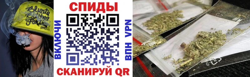 Купить где  Алзамай  БУТИРАТ буратино 