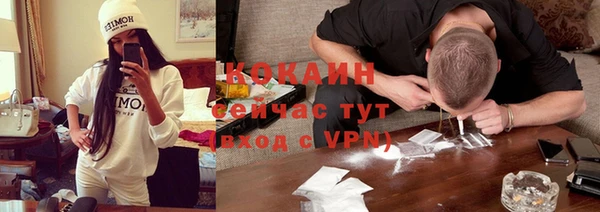 индика Кинешма