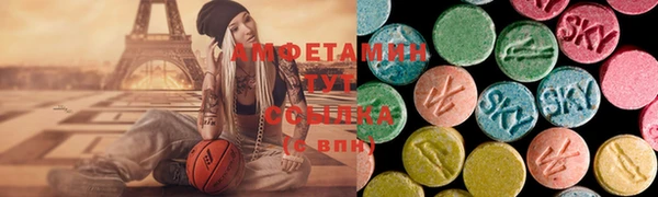 индика Кинешма