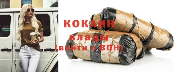 индика Кинешма