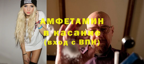 индика Кинешма