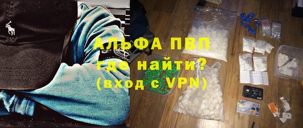 индика Кинешма