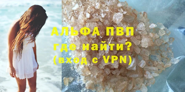 индика Кинешма