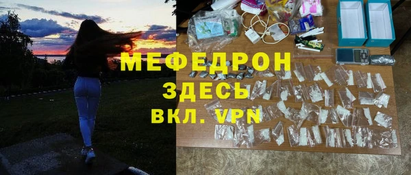индика Кинешма