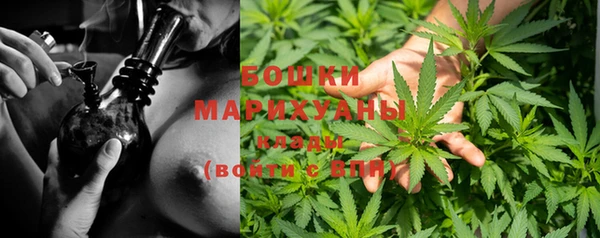 индика Кинешма