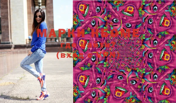 индика Кинешма