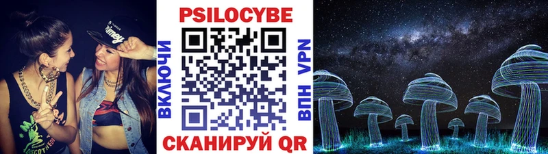 Купить где  Алзамай  Псилоцибиновые грибы ЛСД 